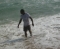 beach grov