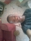 flexing
