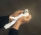PEACE OF THE INNER MAN