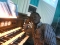 Organist.