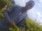 u dnt knw to talka vhbgkh