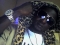ONE LOVE!!