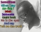 just me