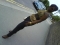 DATZ MOI