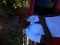 The Lord is good all the tym