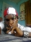 oshenwaomaxtones@yahoo.com
