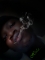 YL u hot!