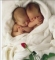 I NEED TWINS