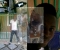 Me myself n i