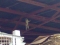 A monkey roaming on our roof!