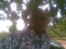 jst me