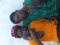 young rasta