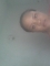 Jst me