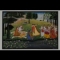 Natural Colour Paintings