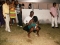 Enjoying  myself at  the  party