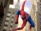 Webman
