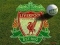 Never Walk Alone
