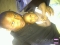 jst kings..