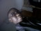 MD/CEO Livingepisode Concept