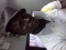 wizzy