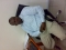 My office pix