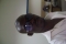 BIG BOY