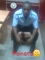 am a cool look guy also a clown in abuja