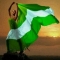 naija4life