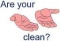 Ar ur palms clean?