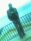 sea side