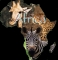 africa my africa