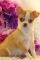 please this is my babay