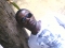 my twin