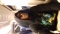 ITZ MICBOSS