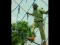 N.Y.S.C Tinz
