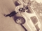 sha u like it