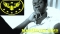 emi noni