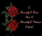 d-beauty