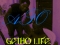 big_afo