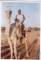 learning to be at home in geidam,yobe state,nigeria