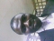 my pics