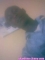 ahmed