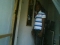 shady