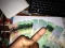 hi,frnz. i was out of job because i was went on trip,in my back some kids try to tack my position,but they are fail because,card hacking not like a kids game,now i have down my rates also, get valid credit cards,Western Union Transfer money transfer,e cruncy,   ◭...::: WARNING :::...◭ My Real Only 1 Yahoo ID and Mail : sonic.programmer1@yahoo.com  ================================================== ======================================= Warning in First  Fake Yahoos IDS sonic.vendor@yahoo.com <=== Fake sonic.dealer@yahoo.com <=== Fake Fake Escrow LR Account : U7975900 U2566404 (AES PKG)<=== Fake  dont deal with fake Yahoo ids many kids trying to scam with fake IDS Many kids Try to use fake ids for scam to users so if some one add you with my name ignore him and guys dont put your yahoo here otherwise fake Sonic will add you and scam you so please just add my yahoo here /==================================== ◭ My Yahoo ID: sonic.programmer1@yahoo.com ◭  ====================================/ ================================================== ======================================= Western Union   Banks   MoneyBookers Transferring WorldWide   Terms : I have Limit With Customers For Do Business.....Only 1 Customer Per Week just 1 time he can use my service....Please Dont ask again n again for do second Transfer....Otherwise i will ignore you.....For Bank Transfer If you get 1 time transfer already in 1 account....so for second week if you want to do again Transfer Then you must have Different Bank Account...I will not do transfer in Same Bank Account Again n Again....Just For Security Reason.... For MoneyBookers i can send only 1 time in 1 account next time you must have different moneybokers account for do again...........Hope You Got it... For Payoneer i can recharge only 1 time per Payoneer card....i cant do again transfer in same card....   Western Union Transfer WorldWide  I also can Transfer Western Union WorldWide but it will take 2-3 business days because it will be bank wire transfer to WU.....And its Up To You We Have Service In A Minut Also , You Will Get MTCN Code With Sender Info   Amount And Then You Can Pick Up Funds From Any WU Store Office..... So if any one need WU service he need to deposit money in escrow then i will start my job....after 1 or 2 days when you will picked up your amount from Western Union Store so then you will say to escrow for release my payment........  Western Union Transfer Rates :  For 2000$ Transfer = 200$  For 4000$ Transfer = 320$  For 7000$ Transfer = 750$  For 10000$ Transfer = 999$ <== You Will Get MTCN code in 2 parts like 5000$ 5000$=10000$   Rules For Bank Transfer : I`m doing just Transfer and i will use my second account you dont need to get worry for your account ....Because i will use my method for make clear payment so no dispute no chargeback. After Transfer some banks take time and some banks not take time and you will get instant your amount. Please no time waster only Serious peoples need for do work thanks. I Not Work on % so dont say to me you have dropper and send funds then we will share... I`m Specialy Transfering From These Countries: (US,UK,IN,GM,NL,AU,CA,DM,CH,BN,IT,MX,RU)  Bank Transfer Rates:  For 2200$ Transfer = 470$  For 4000$ Transfer = 640$  For 7000$ Transfer = 820$   4. MoneyBookers Transferring Worldwide  Guys i`m doing moneybookers/skrill transfer worldwide....MoneyBookers Payment Will be Instant Transfer ...i use my method for add funds with clear payment so no dispute and no chargeback will come....funds will be clear...bec i add funds from bank account to moneybookers then send to customers in second moneybookers so no problem of payment...as you can see in my pics...i have good balance.   Money Bookers Transfer Rates :  For 2000$ Transfer = 490$  For 4000$ Transfer = 620$  For 7000$ Transfer = 790$  =============================================  More Services Coming Up ... Soon Has Possible Regards sonic.programmer1@yahoo.com