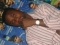 wale