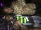Deji oro and sheun natural