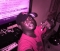 jay