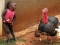 Wat a Wonderful World