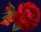 A Flower