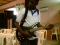 Rock SupaStar